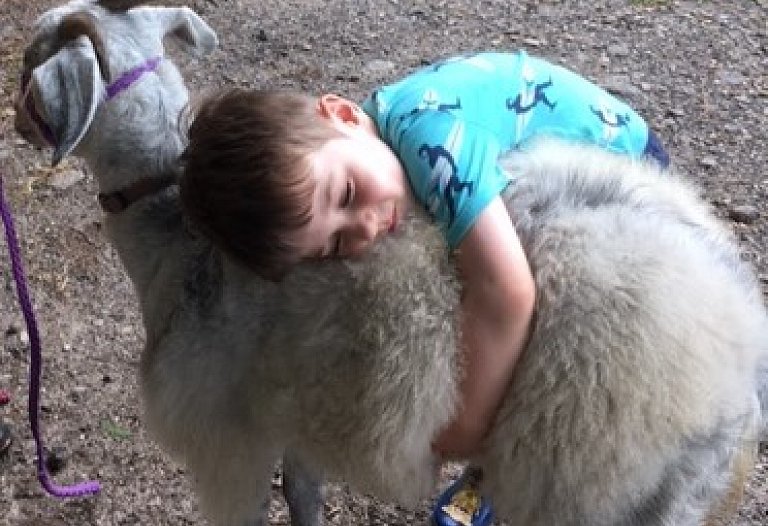 Make a Custom Farm Visit 